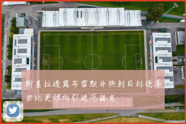 斯基拉透露布雷默非热刺目标德泽尔比更倾向引进范赫克