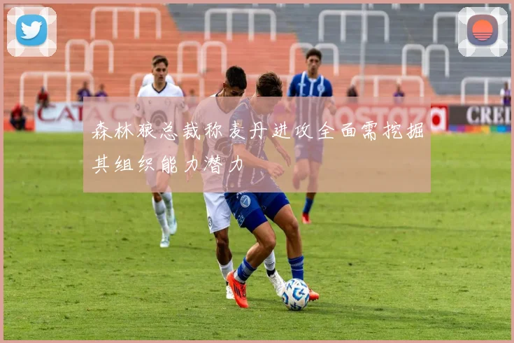 森林狼总裁称麦丹进攻全面需挖掘其组织能力潜力