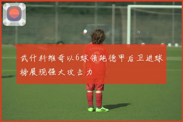 武什科维奇以6球领跑德甲后卫进球榜展现强大攻击力